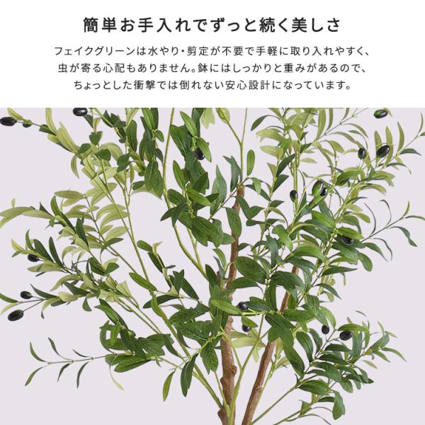 お手入れ簡単フェイクグリーン オリーブ Lサイズ(180cm) お手入れ簡単フェイクグリーン オリーブ Lサイズ(180cm)