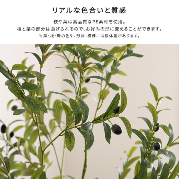 お手入れ簡単フェイクグリーン オリーブ Lサイズ(180cm) お手入れ簡単フェイクグリーン オリーブ Lサイズ(180cm)