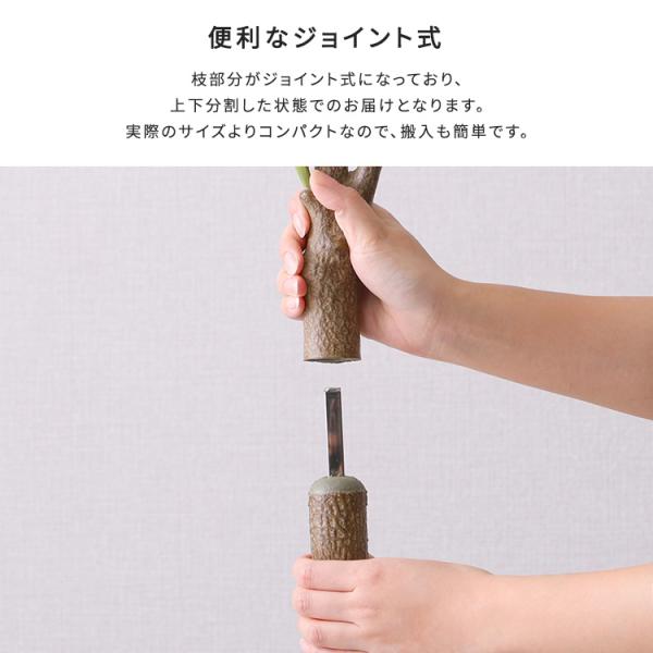 お手入れ簡単フェイクグリーン オリーブ Lサイズ(180cm) お手入れ簡単フェイクグリーン オリーブ Lサイズ(180cm)