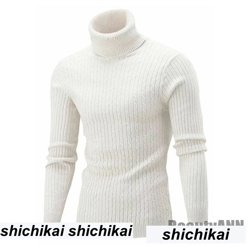 新生活 セーター ニット メンズ タートルネック ック リブ編み カットソー トップス 秋冬 長袖 ウェア 暖かい 防寒 インナー お兄系 プレゼント ギフト 秋物 冬物 春物 春 秋 冬