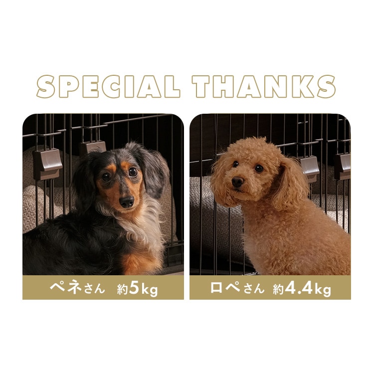 ウッディシステムサークル用屋根 SWS-1200Y ナチュラル アッシュグレー アイリスオーヤマ メガ割