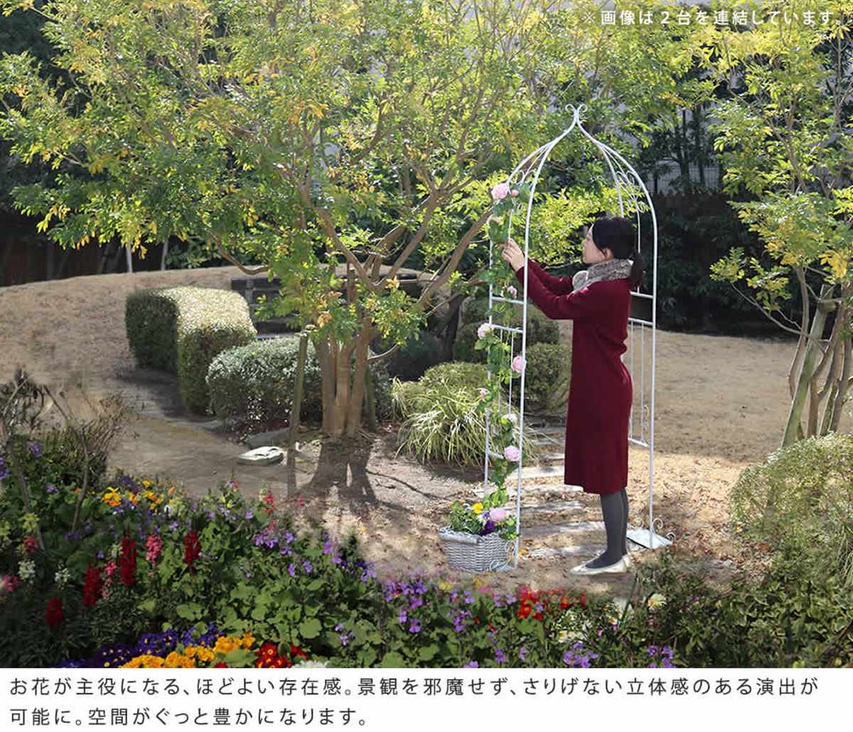 ガーデンアーチ アイアンハーフアーチ ダブル アーチ ハーフ 鉄製アーチ おしゃれ ローズアーチ バルコニーアーチ ガーデニング 目隠し 庭 簡易 アイアン製 薔薇アーチ つるバラ 花立て