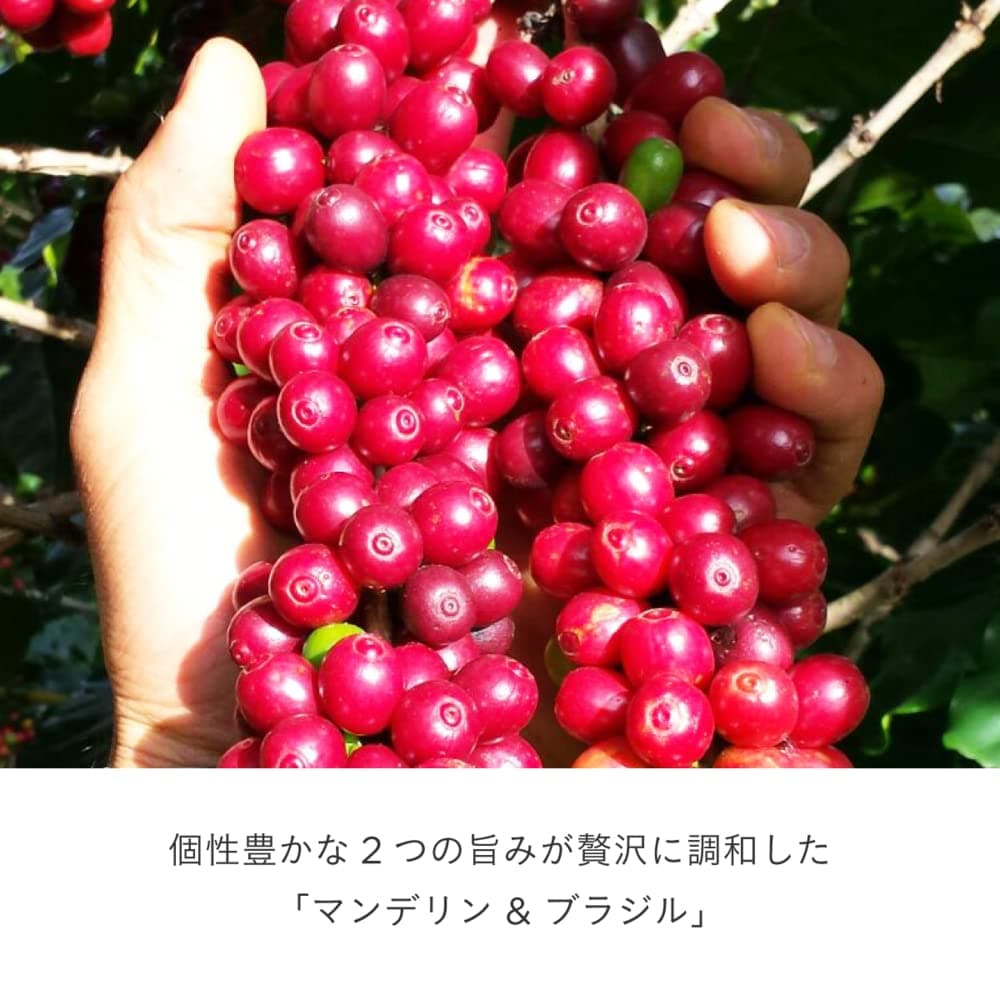 ドリップポッド 専用カプセル マンデリン&ブラジル 12杯分 ×6箱 ポッド・カプセル