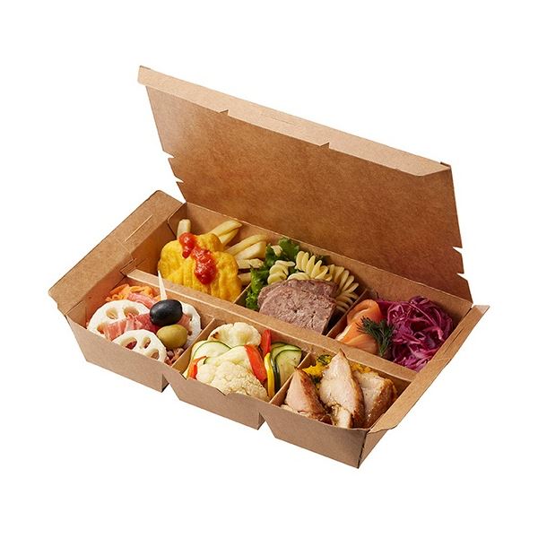 （まとめ）HEIKO 弁当容器 エコランチボックス 6仕切 1パック（20枚）[x5]