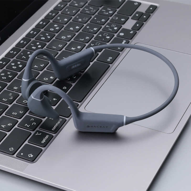 HACRAY SeaHorse 2 Hacray ブラック HR27168 HACRAY SeaHorse 2 Hacray ブラック HR27168