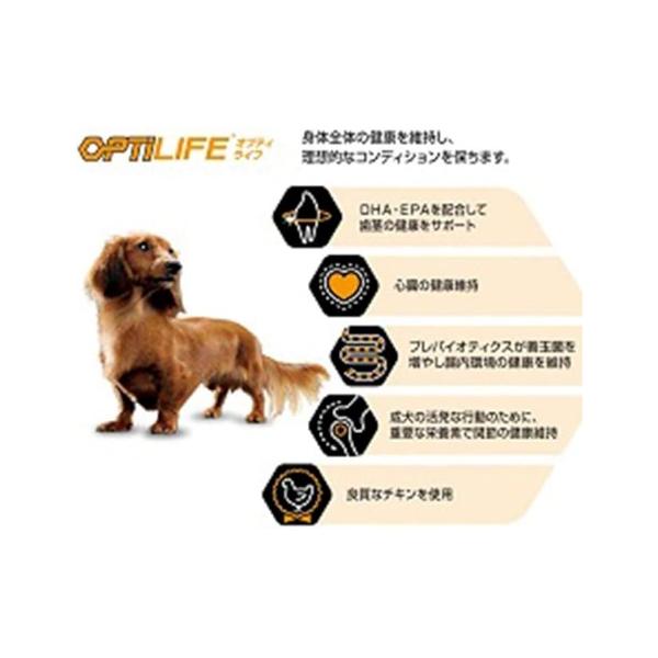 ネスレ ピュリナ プロプラン 小型犬 成犬用 チキン ほぐし粒入り 筋肉バランスのサポート ネスレ ピュリナ プロプラン 小型犬 成犬用 チキン ほぐし粒入り 筋肉バランスのサポート