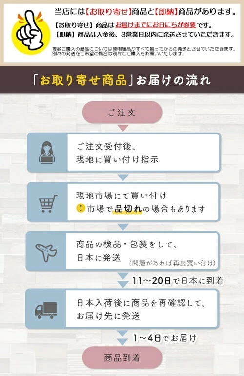 トップス ニット クロシェ 透かし編み セーター カットソー Tシャツ ローゲージ レディース エレガント 大人 可愛い きれいめ カジュアル フェミニン 長袖 プルオーバー 透け感 レイヤード ベー