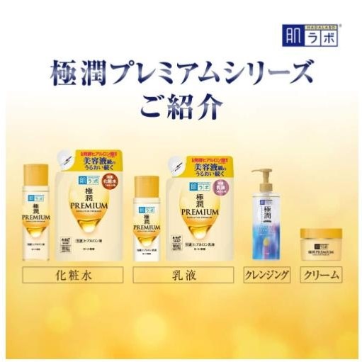 極潤 プレミアム ヒアルロン液 (170ml) 化粧水 [本体1個+つめかえ用1個] ＋ ヒアルロン乳液 (140ml) [本体1個+つめかえ用1個] + パーフェクトゲル (100g)1個