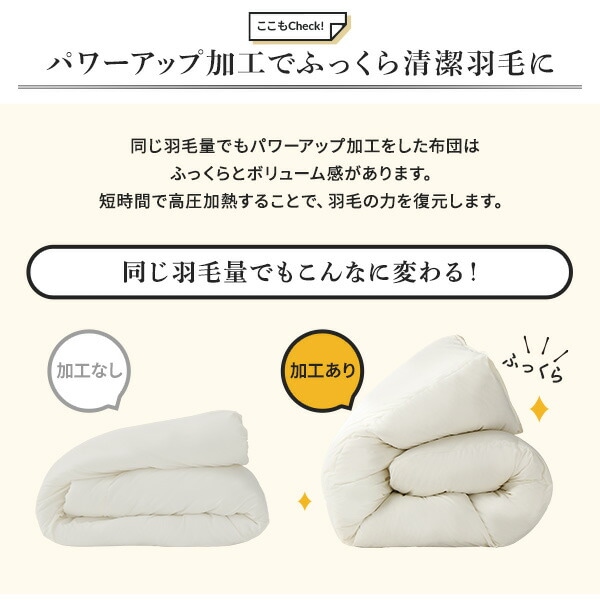 羽毛布団 シングル ブラウン ダウン90% 350dp パワーアップ加工 抗菌 防臭 防ダニ 国産