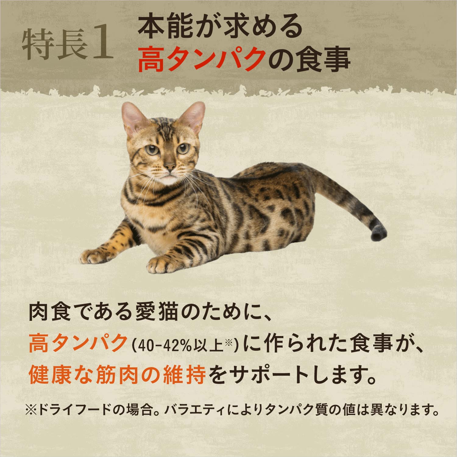 ワイルドレシピ 成猫用 グレインフリー アダルト チキン 2kg ドライフード 総合栄養食 キャットフード 猫 穀物フリー 高タンパク 厳選自然素材 香料・着色料 無添加 ニュートロ ワイルドレシピ 成猫用 グレインフリー アダルト チキン 2kg ドライフード 総合栄養食 キャットフード 猫 穀物フリー 高タンパク 厳選自然素材 香料・着色料 無添加 ニュートロ