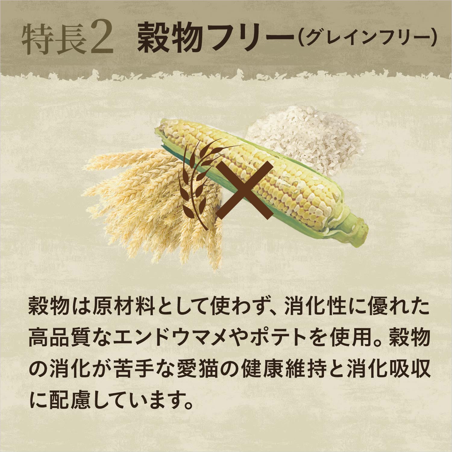 ワイルドレシピ 成猫用 グレインフリー アダルト チキン 2kg ドライフード 総合栄養食 キャットフード 猫 穀物フリー 高タンパク 厳選自然素材 香料・着色料 無添加 ニュートロ ワイルドレシピ 成猫用 グレインフリー アダルト チキン 2kg ドライフード 総合栄養食 キャットフード 猫 穀物フリー 高タンパク 厳選自然素材 香料・着色料 無添加 ニュートロ