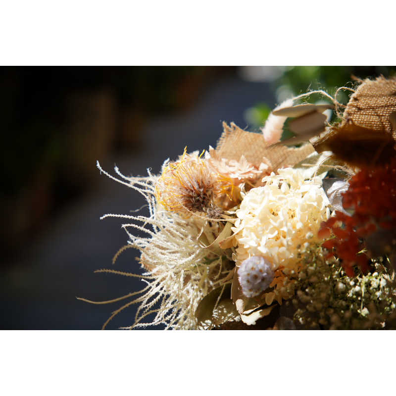 SAMYANG カメラレンズ (ソニーE用/フルサイズ対応) AF 24-70mm F2.8 FE SAMYANG カメラレンズ (ソニーE用/フルサイズ対応) AF 24-70mm F2.8 FE