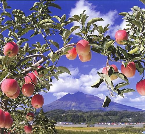 【Amazon.co.jp限定】 JAアオレン 青森便り りんごジュース アソートセット 1000ml x 3種類 x 各2本 (ストレートふじ王林) 【Amazon.co.jp限定】 JAアオレン 青森便り りんごジュース アソートセット 1000ml x 3種類 x 各2本 (ストレートふじ王林)