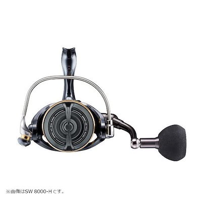 通販好評 ダイワ(DAIWA) スピニングリール : アウトドア 即納お得
