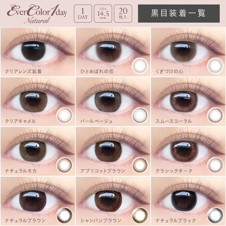 エバー カラー ワンデーナチュラル/モイストレーベル　(1箱20枚入）　12箱　新色追加　安斉かれん
