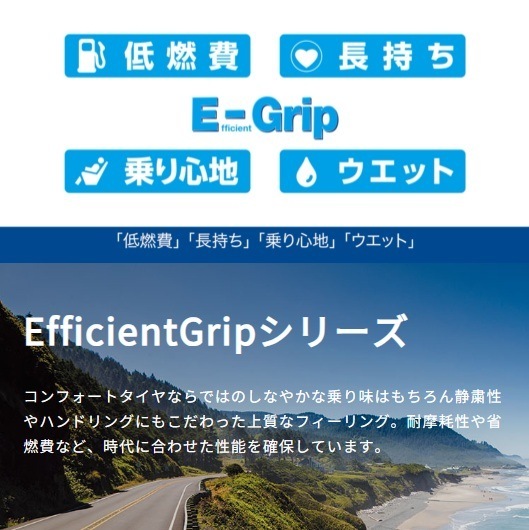 24年製 EfficientGrip RVF02 175/65R15 84H 夏タイヤ 低燃費 長持ち 静粛性 乗り心地 [営業日午前着金で当日出荷][在庫有-取付店直送可] mdprevattcaulkingandwaterproofing.com