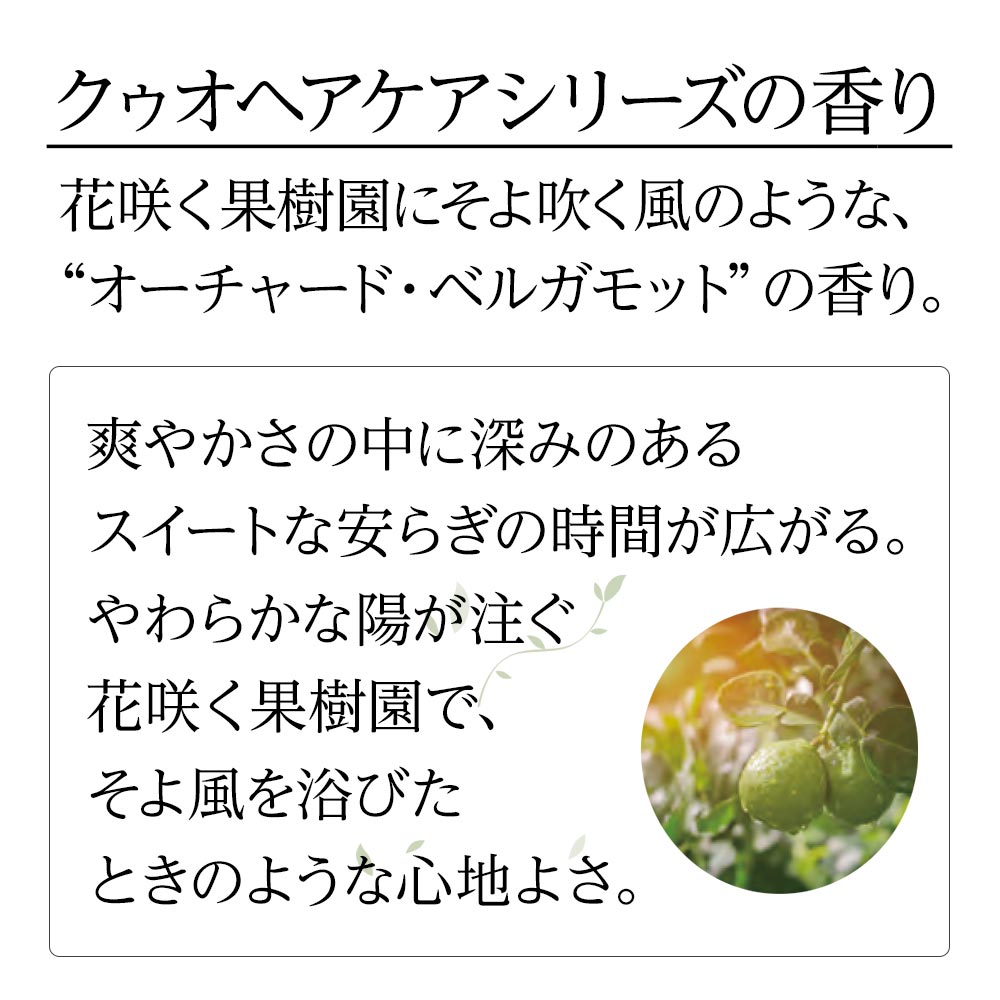 クゥオ ヘアバス H 375ml 3個セット エイジングケアシャンプー