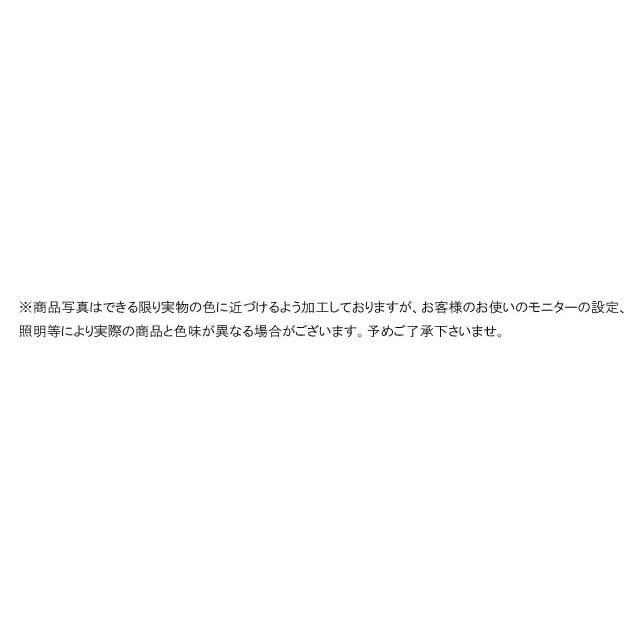 リーガル 靴 メンズ フォーマル 紳士靴 内羽根 ストレートチップ 黒 革靴 ブラック ビジネスシューズ 日本製 25AR BE B