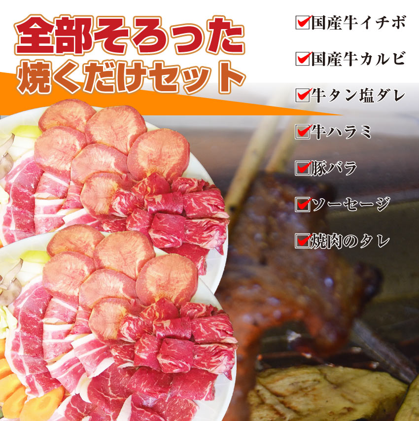 バーベキュー ギガ盛り セット 冷凍 たっぷり12-14人前 （ 総重量 3.6kg ）