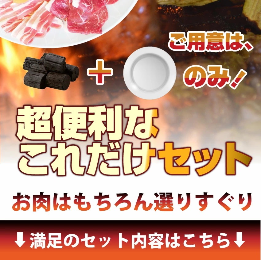 バーベキュー ギガ盛り セット 冷凍 たっぷり12-14人前 （ 総重量 3.6kg ）