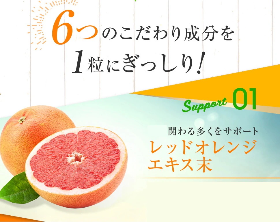 ３個セット＋１個オマケ 【ひがサプリ】新時代 太陽対策 飲む バリア サプリ 日焼け止め サンスティック クリーム ニュートロックスサン UV 対策 ケア カット セラミド ビタミンC 美容