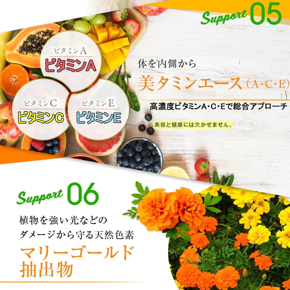 ３個セット＋１個オマケ 【ひがサプリ】新時代 太陽対策 飲む バリア サプリ 日焼け止め サンスティック クリーム ニュートロックスサン UV 対策 ケア カット セラミド ビタミンC 美容