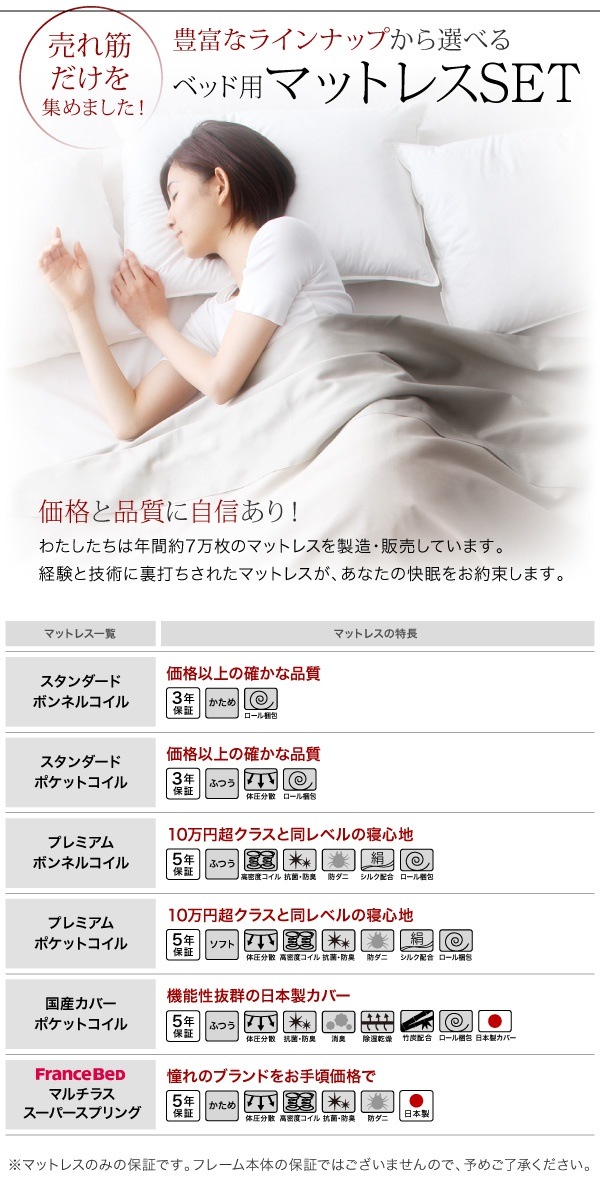 [組立設置付]スリム棚付 収納ベッド [スプレンド] スタンダードポケットコイルマットレス付 ダブル シャビーグレー [マットレス]白