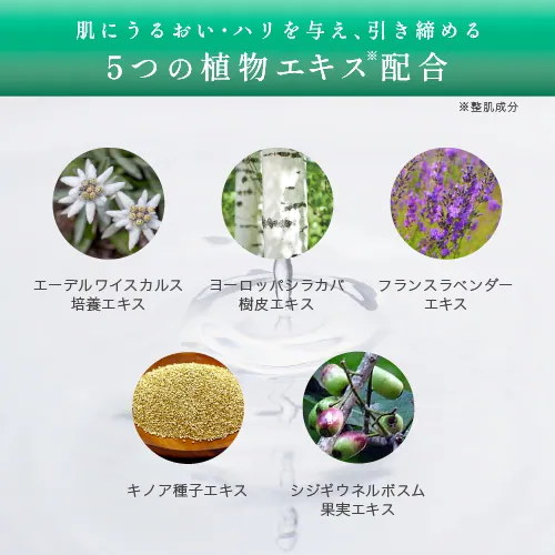 Qoo10] KATAN CICA ダーマヒットセラム 5 30g