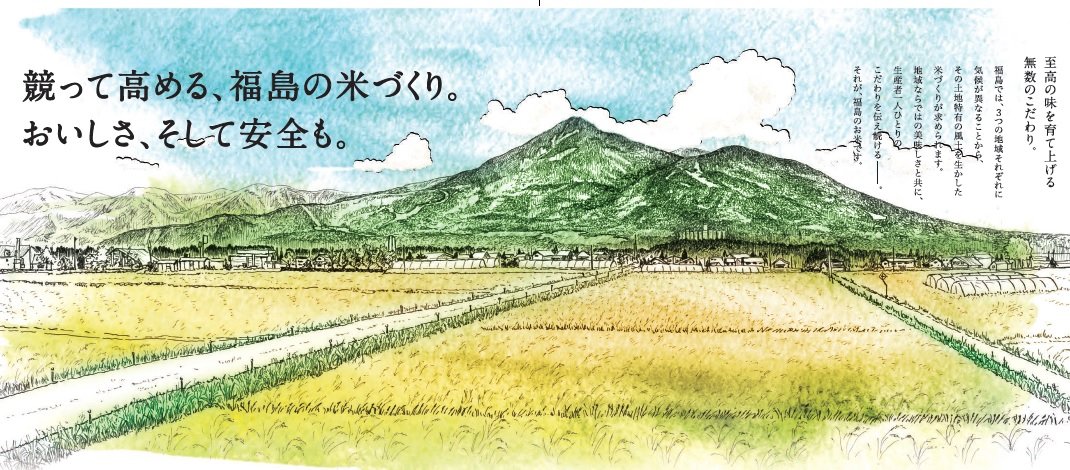 パールライス 令和6年産 福島県産 白米 天のつぶ 5kg 令和6年産