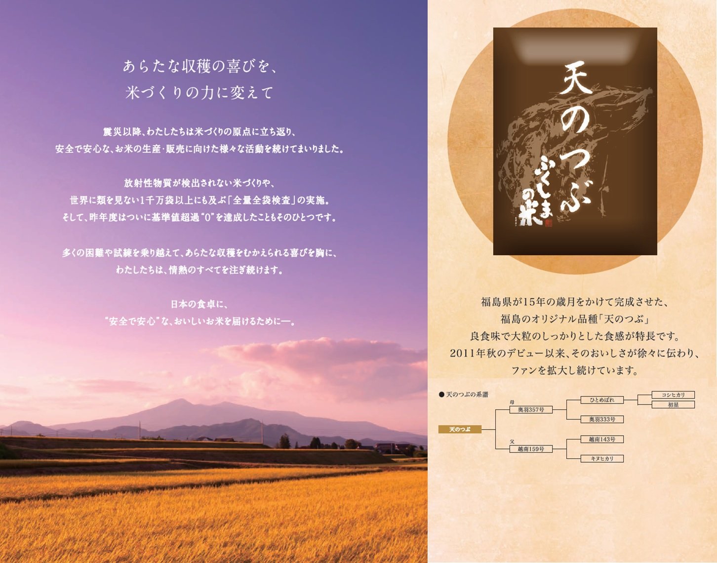 パールライス 令和6年産 福島県産 白米 天のつぶ 5kg 令和6年産