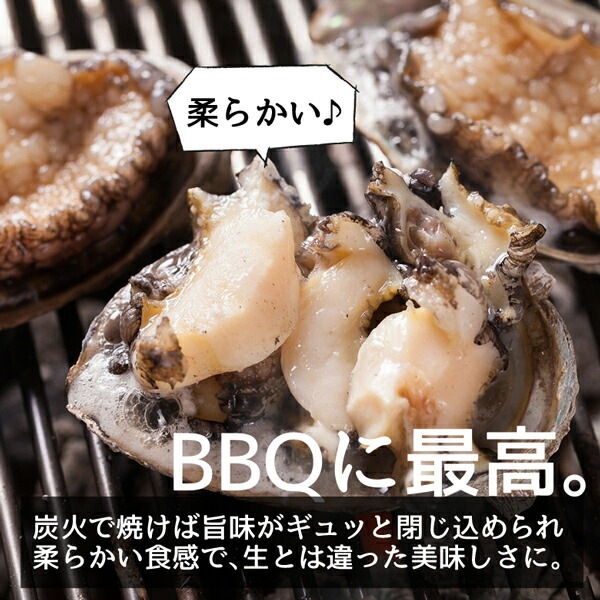 あわび 蝦夷あわび 北海道産 冷凍 300g あわび アワビ 鮑 awabi あわびの肝 蝦夷アワビ バーベキュー 活きたまま急速凍結しました BBQ(バーベキュー)にも最高 【ym_rta】