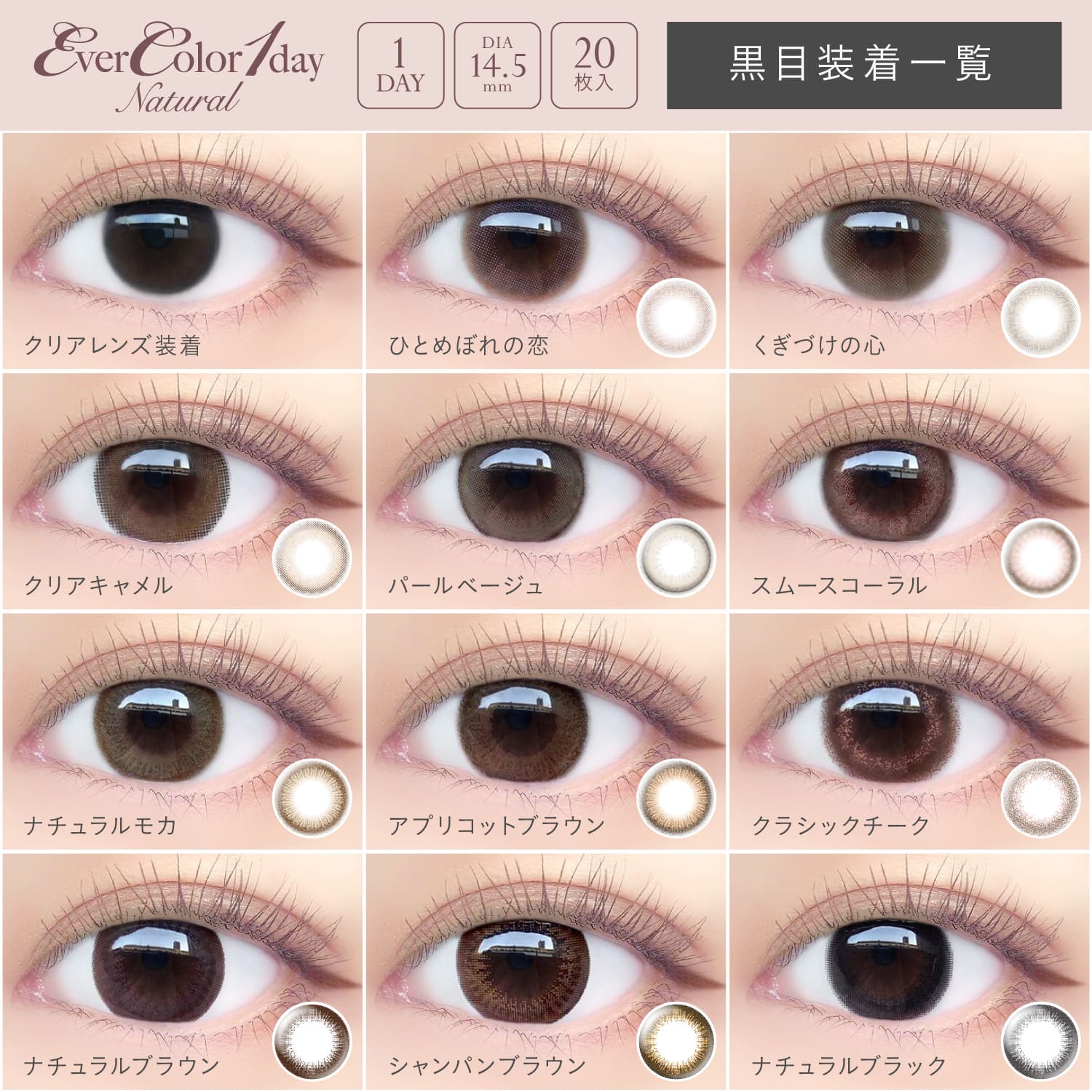 1500円offクーポン対象 6箱セット カラコン エバーカラーワンデーナチュラル 20枚入 度なし 度あり 1日使い捨て 1day EverColor 1day Natural カラーコンタクト