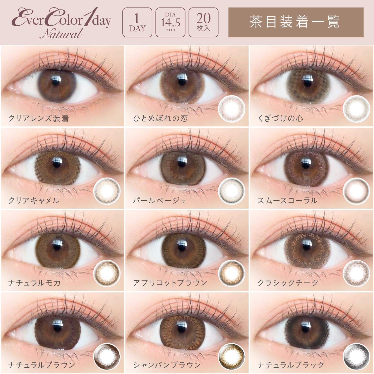 1500円offクーポン対象 6箱セット カラコン エバーカラーワンデーナチュラル 20枚入 度なし 度あり 1日使い捨て 1day EverColor 1day Natural カラーコンタクト