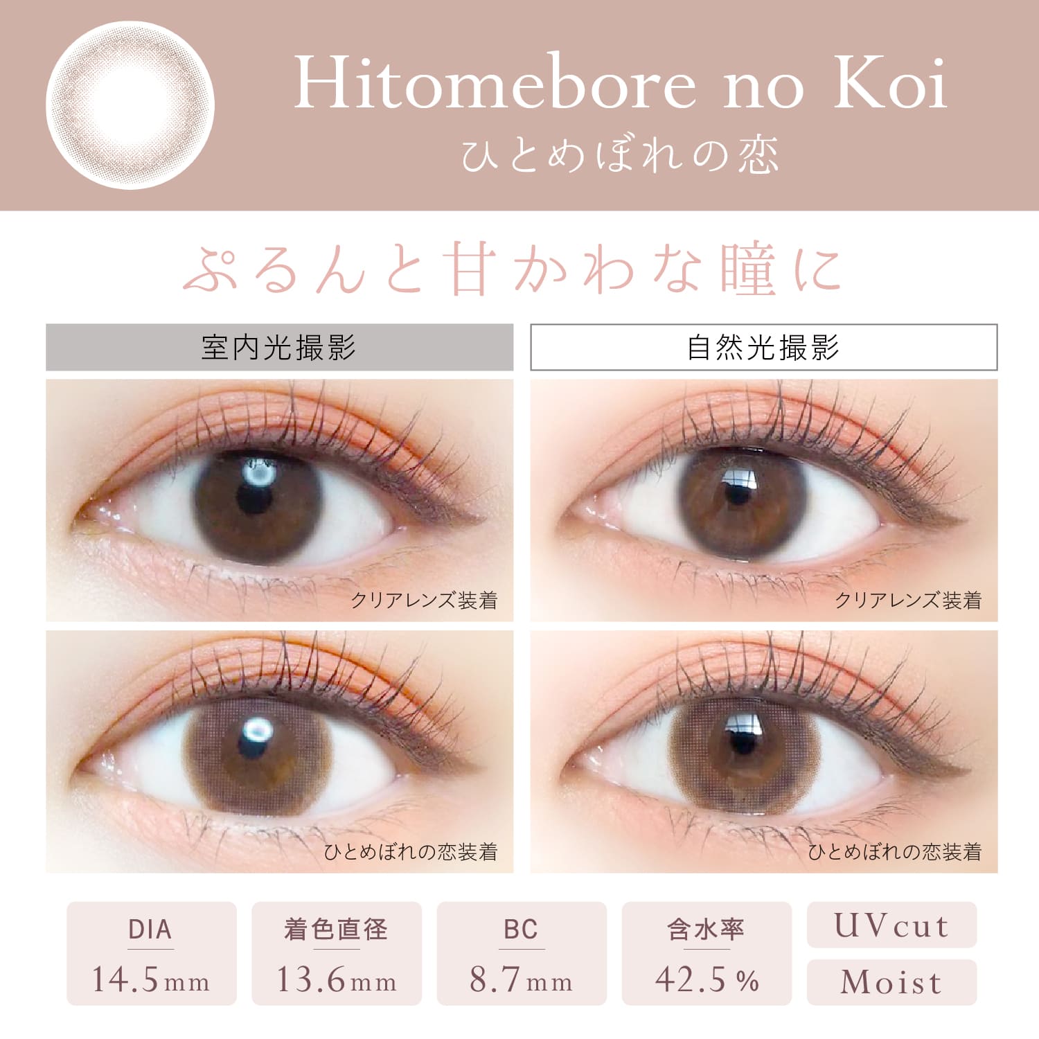 1500円offクーポン対象 6箱セット カラコン エバーカラーワンデーナチュラル 20枚入 度なし 度あり 1日使い捨て 1day EverColor 1day Natural カラーコンタクト