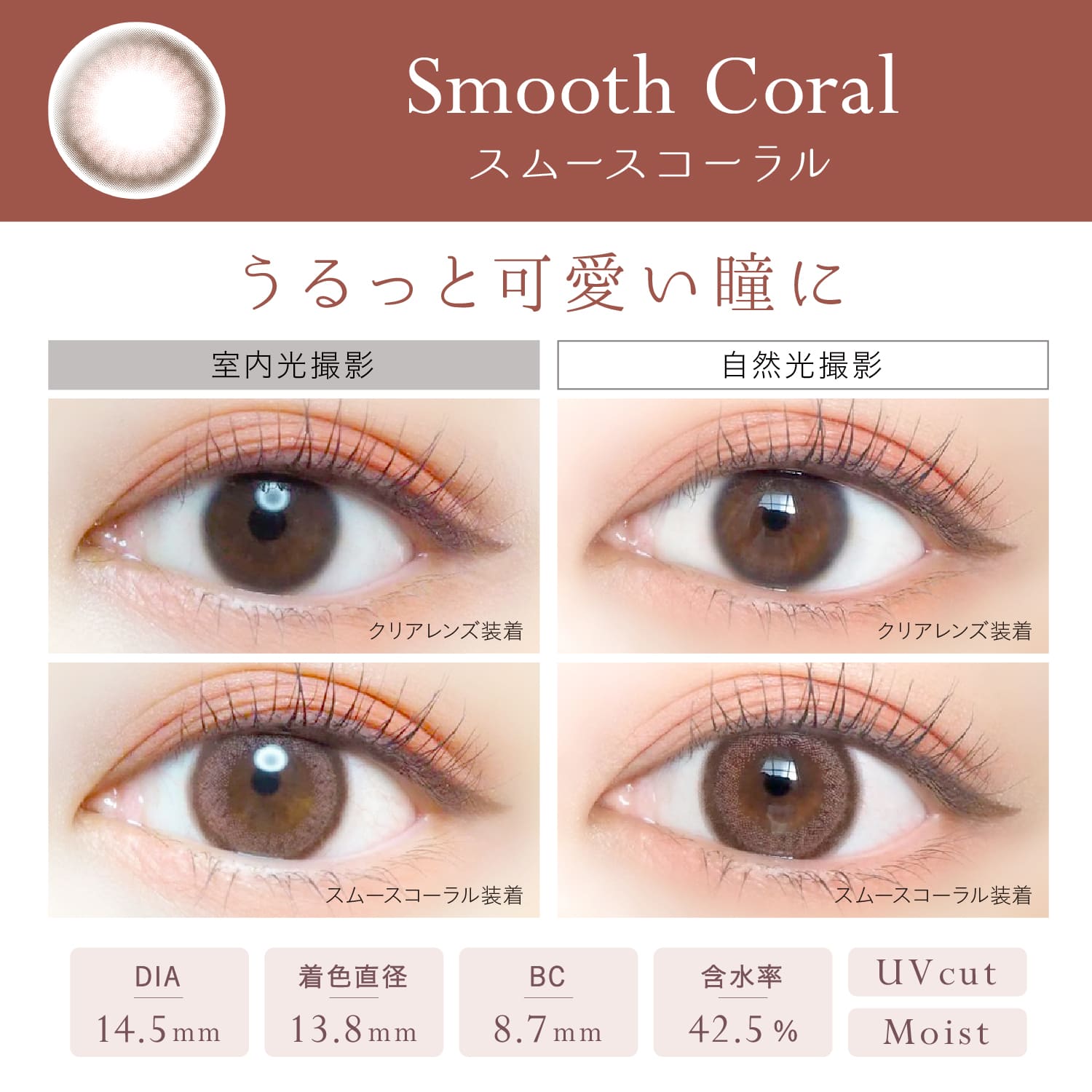 1500円offクーポン対象 6箱セット カラコン エバーカラーワンデーナチュラル 20枚入 度なし 度あり 1日使い捨て 1day EverColor 1day Natural カラーコンタクト