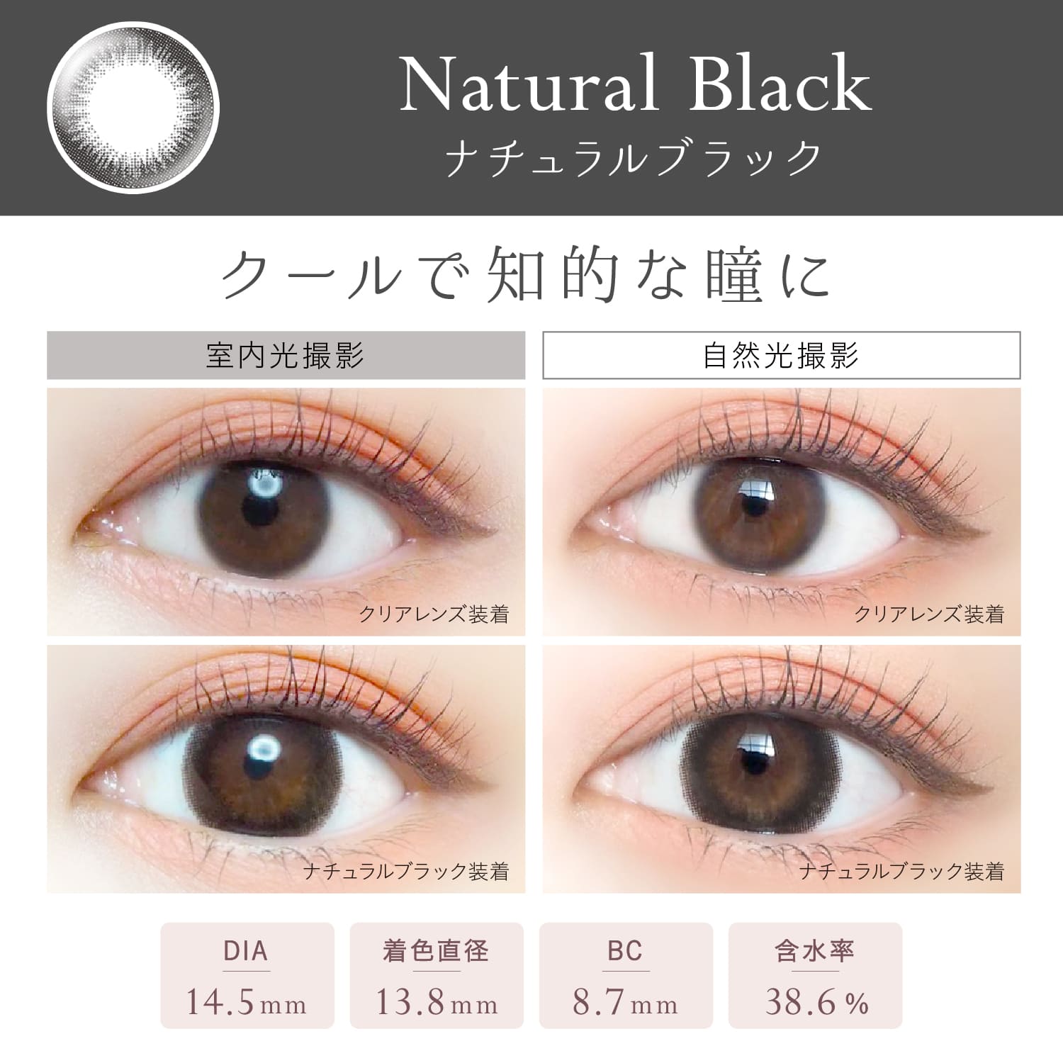1500円offクーポン対象 6箱セット カラコン エバーカラーワンデーナチュラル 20枚入 度なし 度あり 1日使い捨て 1day EverColor 1day Natural カラーコンタクト
