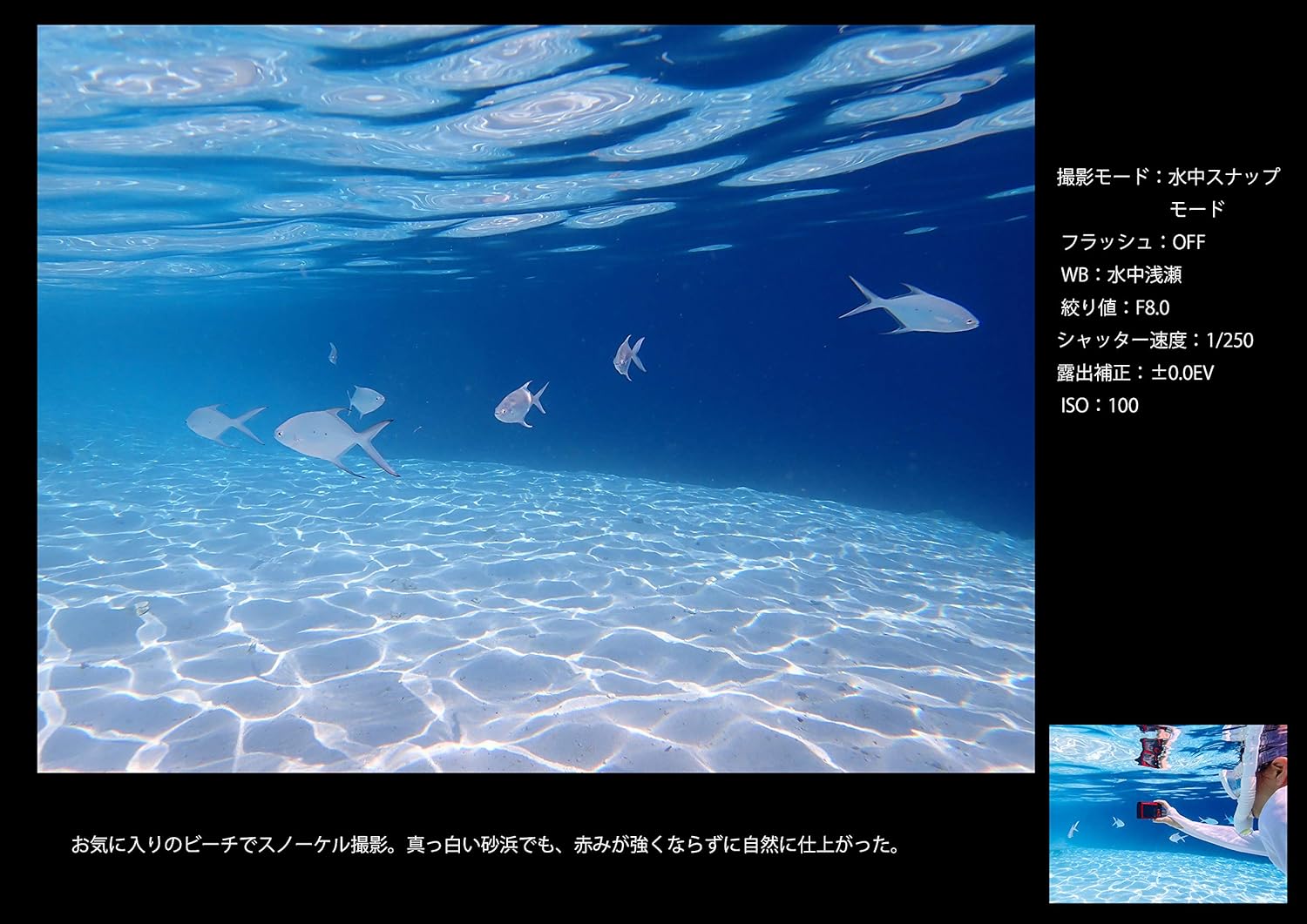 OM SYSTEM/オリンパス OLYMPUS デジタルカメラ Tough TG-6 ブラック 1200万画素CMOS F2.0 15m 防水 100kgf耐荷重 GPS 内蔵Wi-Fi TG-6BL