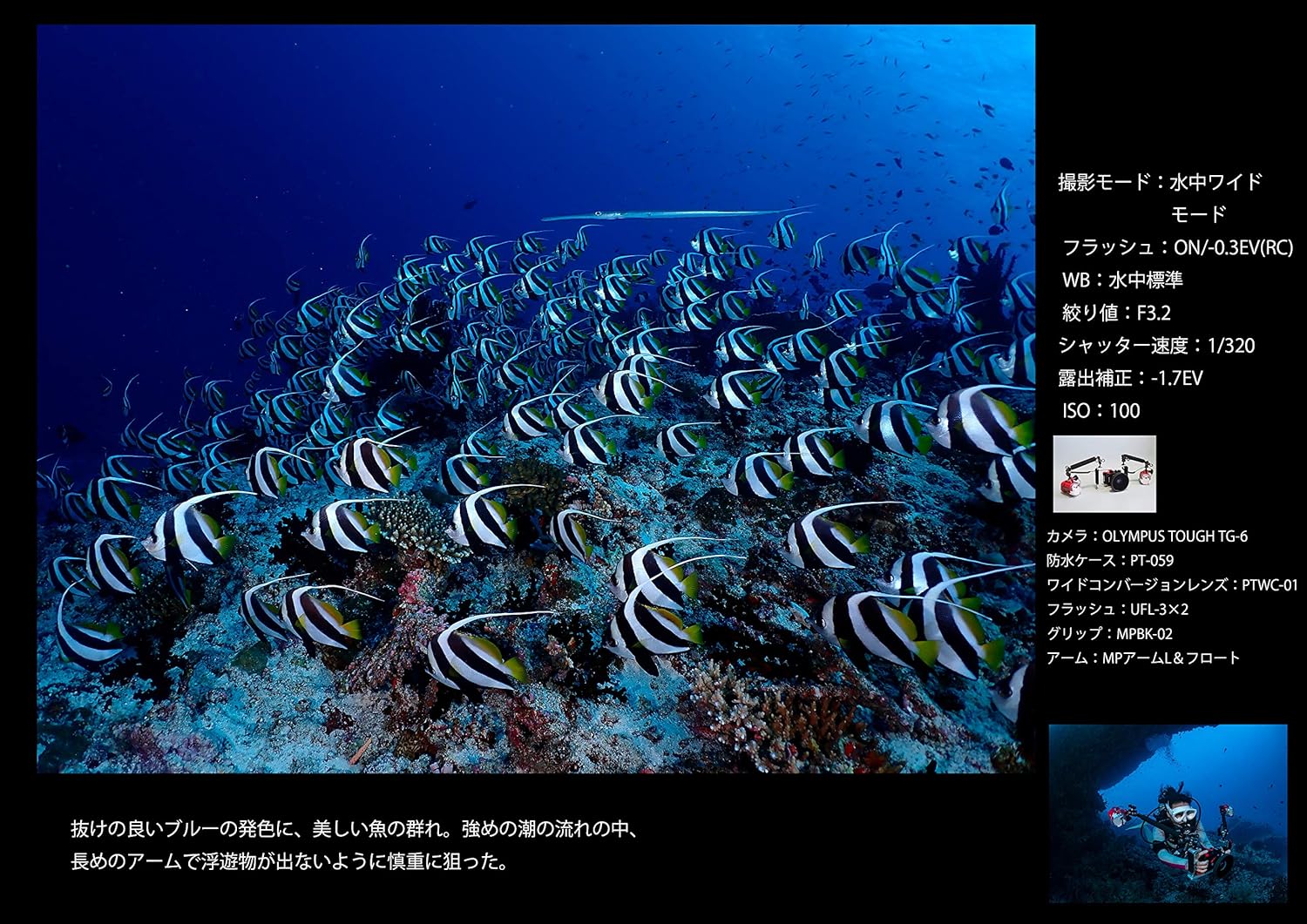 OM SYSTEM/オリンパス OLYMPUS デジタルカメラ Tough TG-6 ブラック 1200万画素CMOS F2.0 15m 防水 100kgf耐荷重 GPS 内蔵Wi-Fi TG-6BL