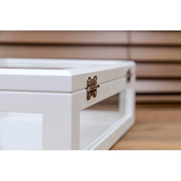 コレクションケース/ディスプレイケース 単品 大 幅40cm 木製フレーム ガラス製 ホワイト(白) 完成品 コレクションケース/ディスプレイケース 単品 大 幅40cm 木製フレーム ガラス製 ホワイト(白) 完成品