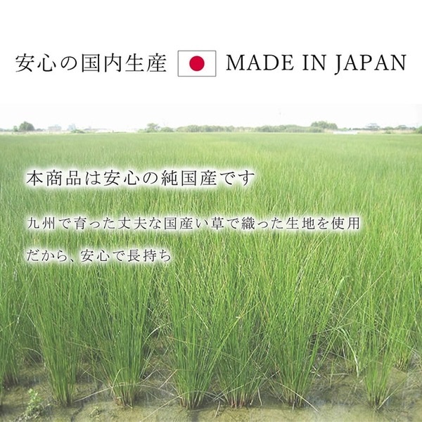 ds-2319462 ラグマット/絨毯 シンプル ... : 家具・インテリア : 夏用 い草 安い新作