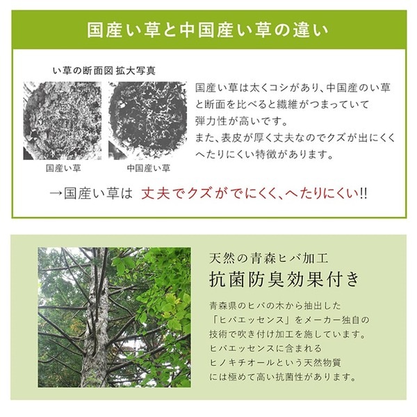 ds-2319462 ラグマット/絨毯 シンプル ... : 家具・インテリア : 夏用 い草 安い新作