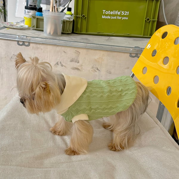 ヨークシャーテリアを一覧から探す│ペッツファースト公式サイト 【2