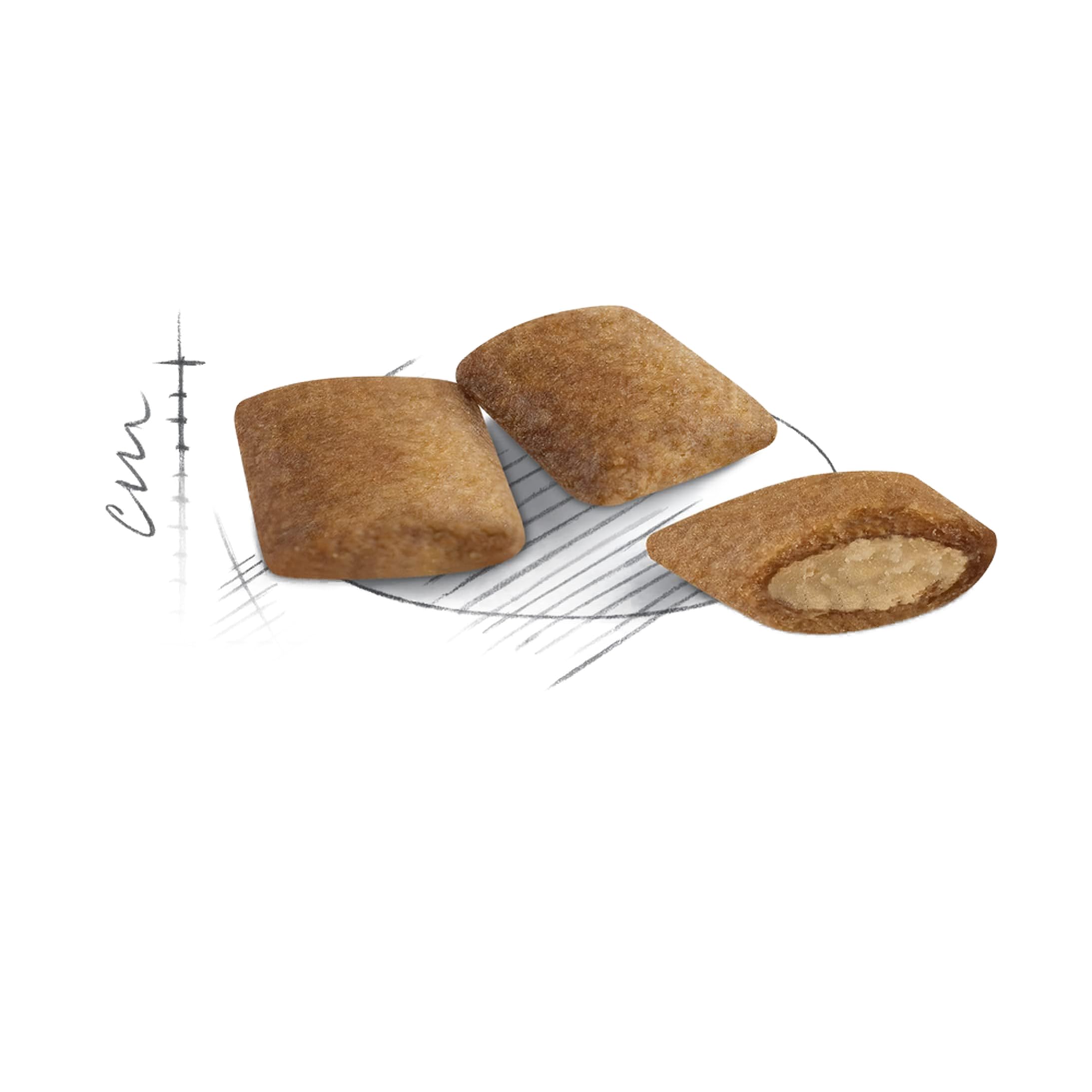 ロイヤルカナン FHN エイジング 12 猫用 2kg ロイヤルカナン FHN エイジング 12 猫用 2kg