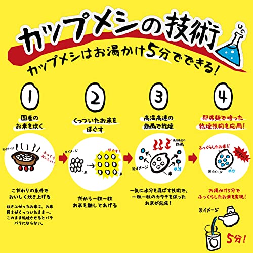 【Amazon.co.jp限定】 日清食品 日清カレーメシ カップメシシリーズ 4種類アソート (計12個) インスタント 詰め合わせ 箱買い