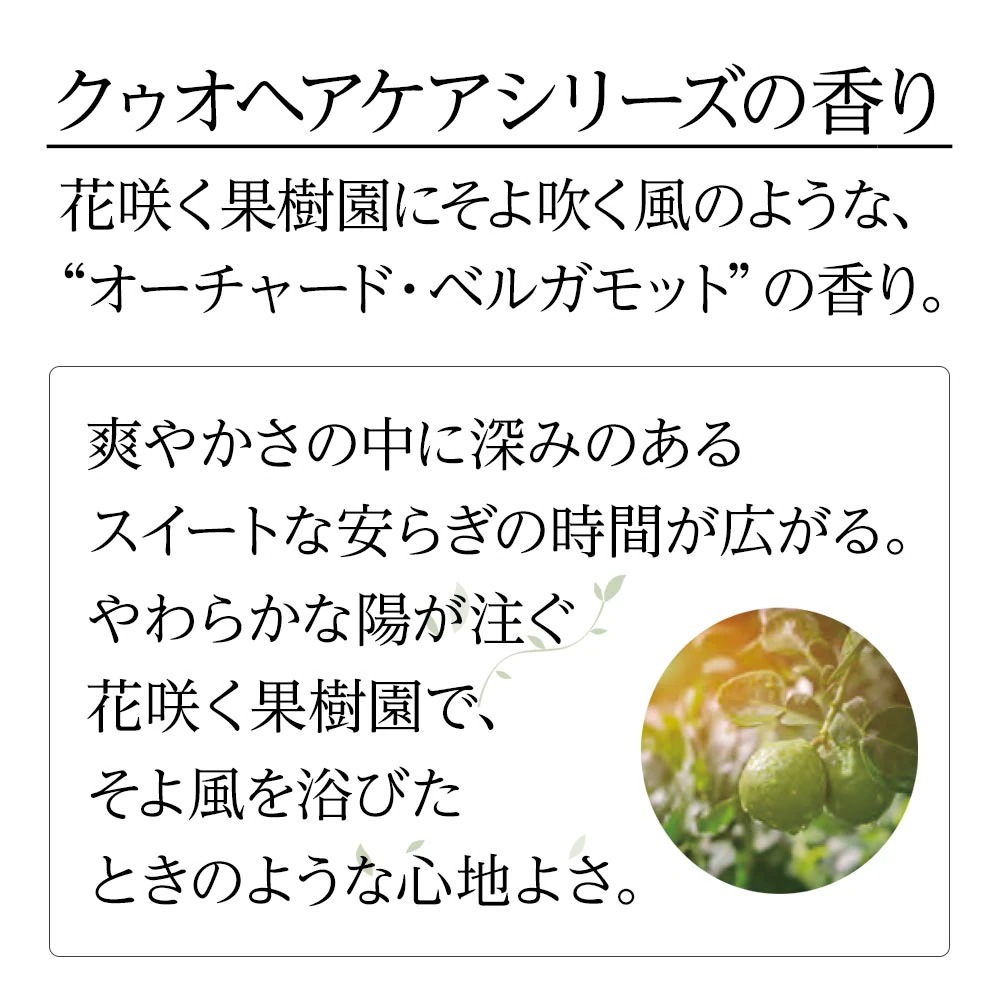 正規品 クゥオ ヘアバス H 375ml＋マスク 375g＋セダ 30ml 計3個 お試しセット エイジングケアシャンプー エイジングケアトリートメント 洗い流さないトリートメント