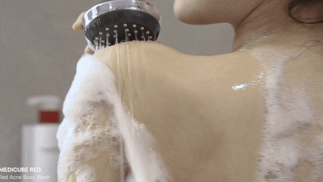 【背中にきび性2点SET】 ボディウォッシュ /ボディ·ミスト/シャワー時に手軽に問題性ボディクリア 【背中にきび性2点SET】 ボディウォッシュ /ボディ·ミスト/シャワー時に手軽に問題性ボディクリア