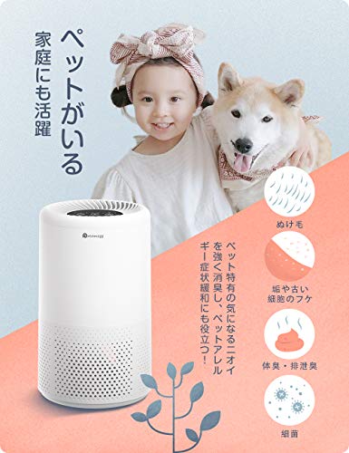 得価再入荷 Dreamegg 脱臭... : 家電 空気清浄機 小型 好評新品