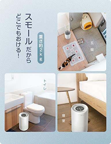 得価再入荷 Dreamegg 脱臭... : 家電 空気清浄機 小型 好評新品