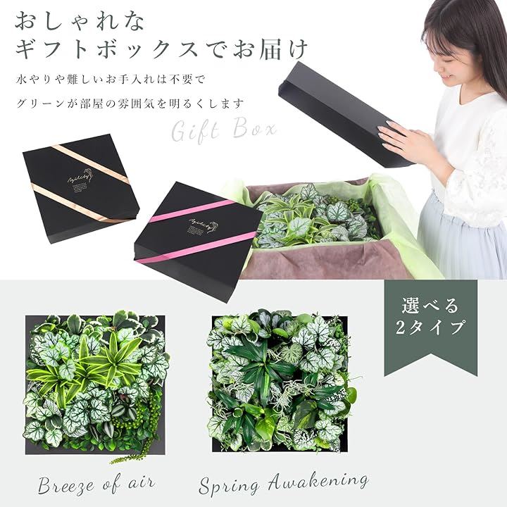 フェイクウォールグリーン インテリア 光触媒加工 抗菌消臭 日本製 壁掛け 観葉植物 Spring Awakening フェイクウォールグリーン インテリア 光触媒加工 抗菌消臭 日本製 壁掛け 観葉植物 Spring Awakening
