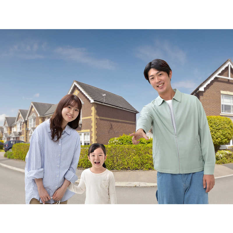 アイリスオーヤマ IRIS OHYAMA テレビドアホン TD-SM3010T-WSH アイリスオーヤマ IRIS OHYAMA テレビドアホン TD-SM3010T-WSH